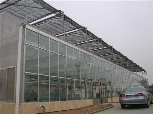 薄膜连栋温室承建 -- 河南绿之茵农业技术开发