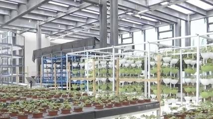 世界首例!我国自主研发无人化垂直植物工厂